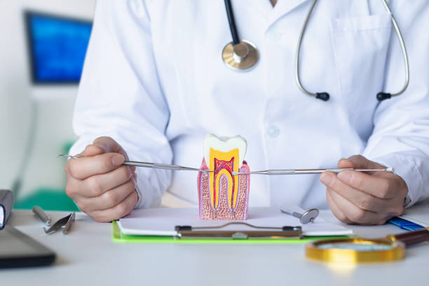 Best Emergency Treatment for Dental Infections or Abscesses in Bessemer City, NC